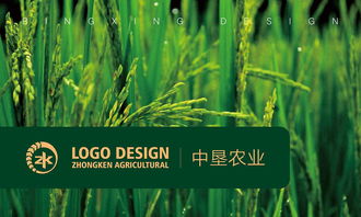 广东 中垦农业开发logo设计